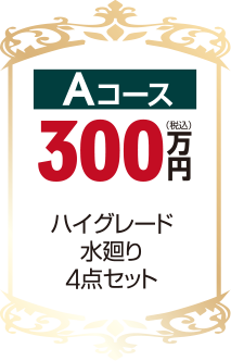 Aコース300万円