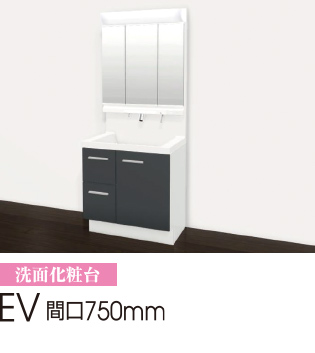 EV 間口750mm